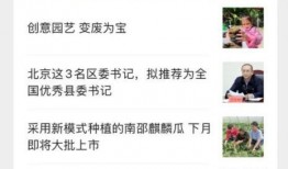 爆料网红奇葩事情视频,惊爆娱乐圈奇葩事件视频揭秘